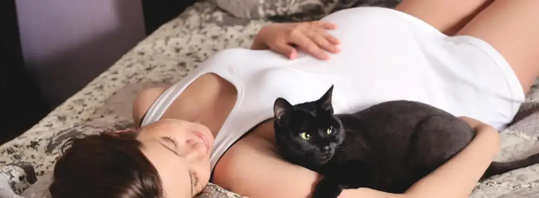 Jak się przygotować do badania na toksoplazmozę, aby uniknąć błędów?