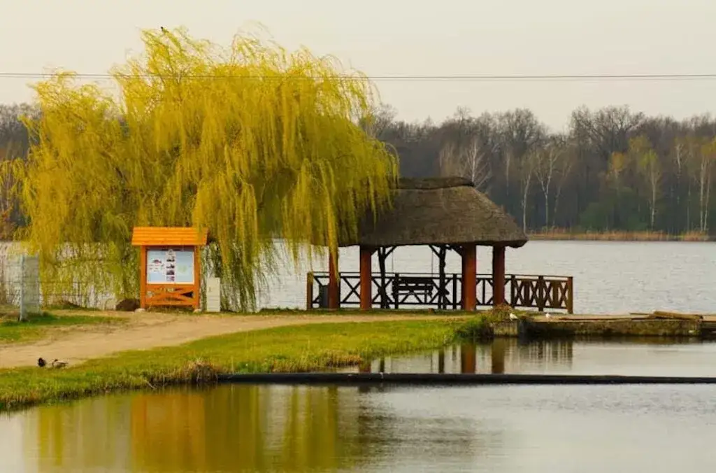 Łowisko Pawłowice: Wszystko, co musisz wiedzieć o wędkowaniu