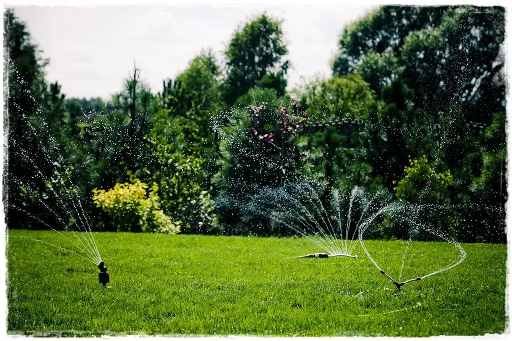 Jak dobrać zraszacze ogrodowe, aby uniknąć marnowania wody