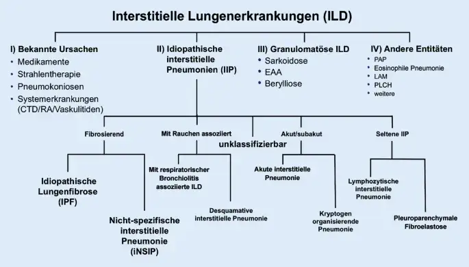 Lungenerkrankungen diagnostik: Wichtige Verfahren zur Früherkennung