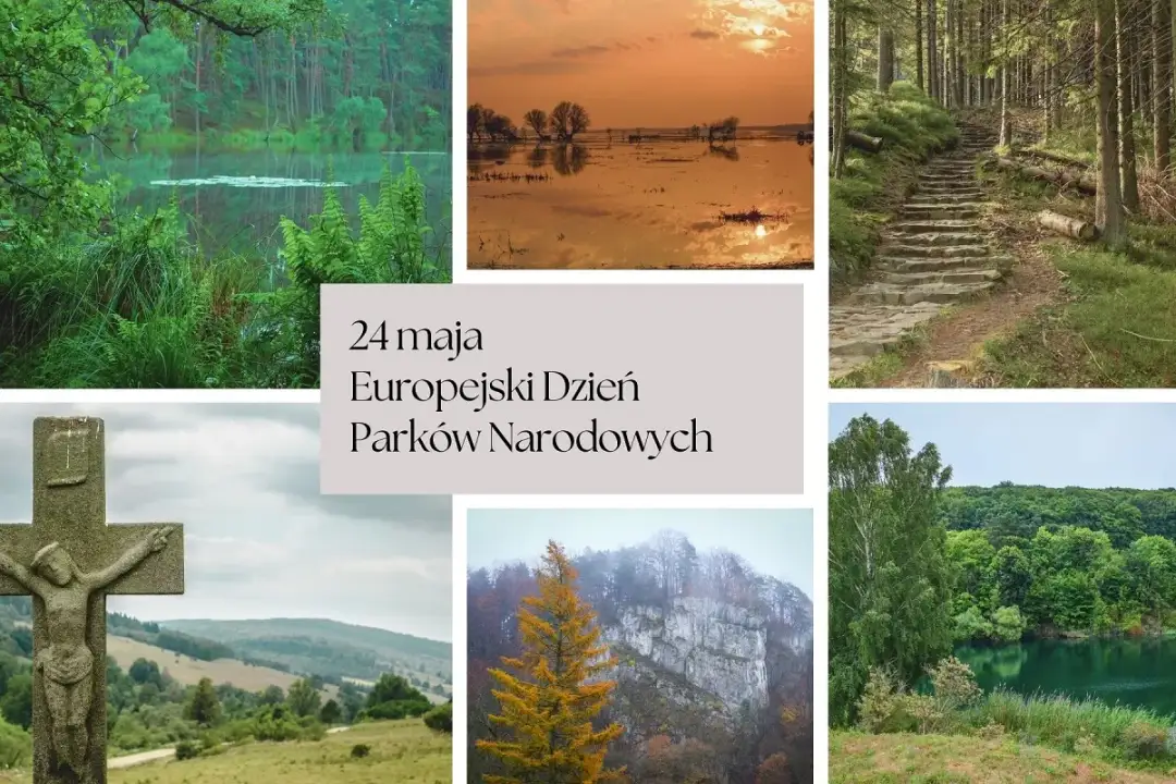 Pierwszy na świecie park narodowy: historia i niezwykłe atrakcje