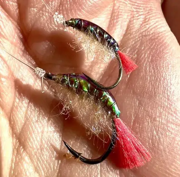 Jak dobrać przynęty dla ryb? Klucz do udanego połowu!