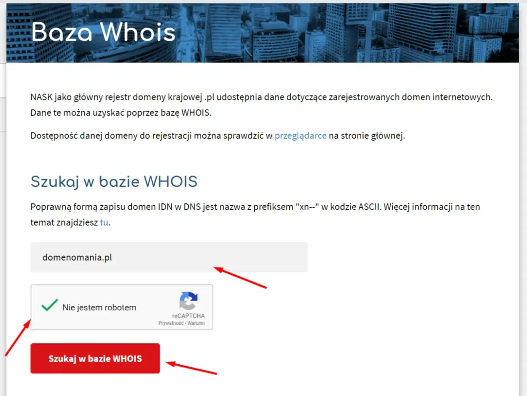 Jak sprawdzić właściciela domeny? Praktyczny przewodnik WHOIS