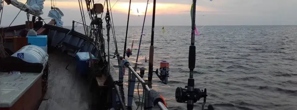 Gdzie można łowić ryby w Kołobrzegu? Odkryj najlepsze miejsca na wędkowanie