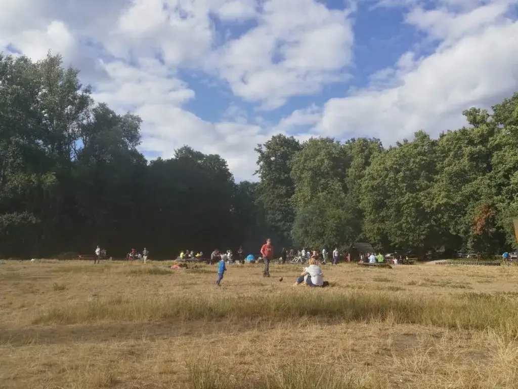 Gdzie legalnie rozpalić ognisko w Warszawie? Top miejsca na biwak