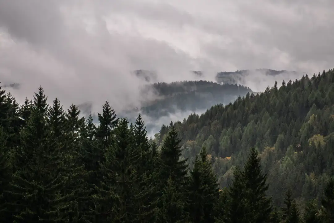 Góry Sowie - najlepsze atrakcje, które musisz zobaczyć