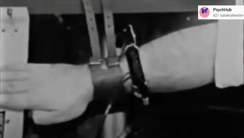 Eksperyment Milgrama: Dlaczego posłuszni ludzie krzywdzą innych?