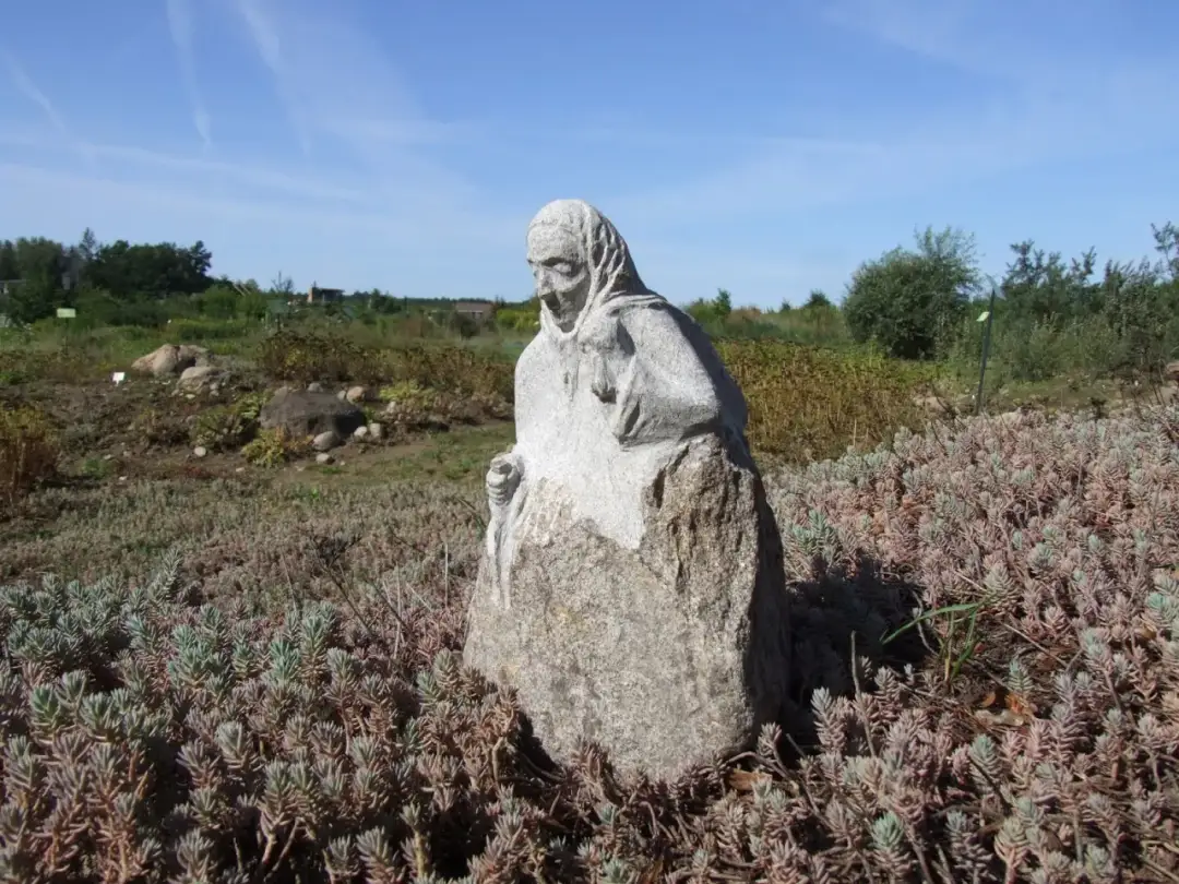 Rzeźba w kamieniu polnym: Od głazu do dzieła. Twój poradnik
