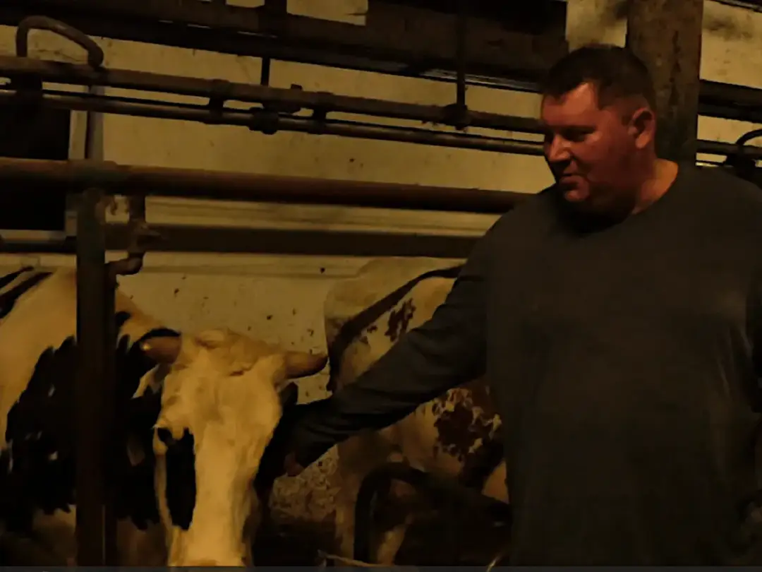 Skuteczny wniosek czyli jak wydoić unijną krowę i uniknąć błędów