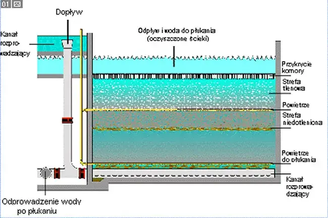 Jak działa oczyszczalnia ścieków? Proces oczyszczania krok po kroku wyjaśniony