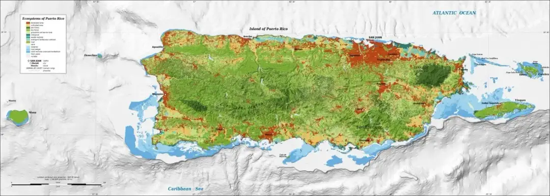 Gdzie dokładnie leży Portoryko? Poznaj jego położenie i sąsiadów na mapie