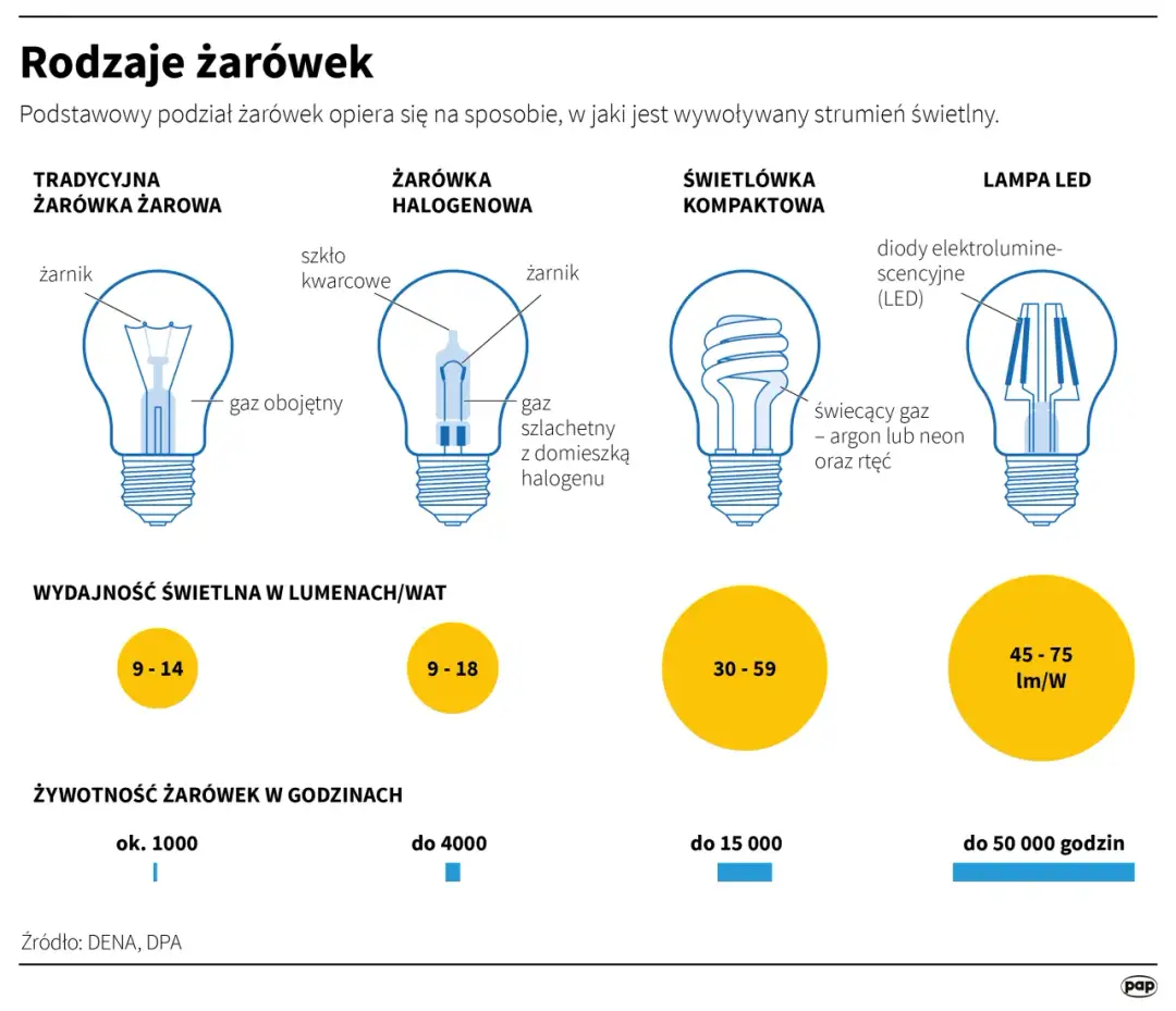 Gdzie wyrzucić żarówki? Rodzaj ma znaczenie! Poradnik eksperta