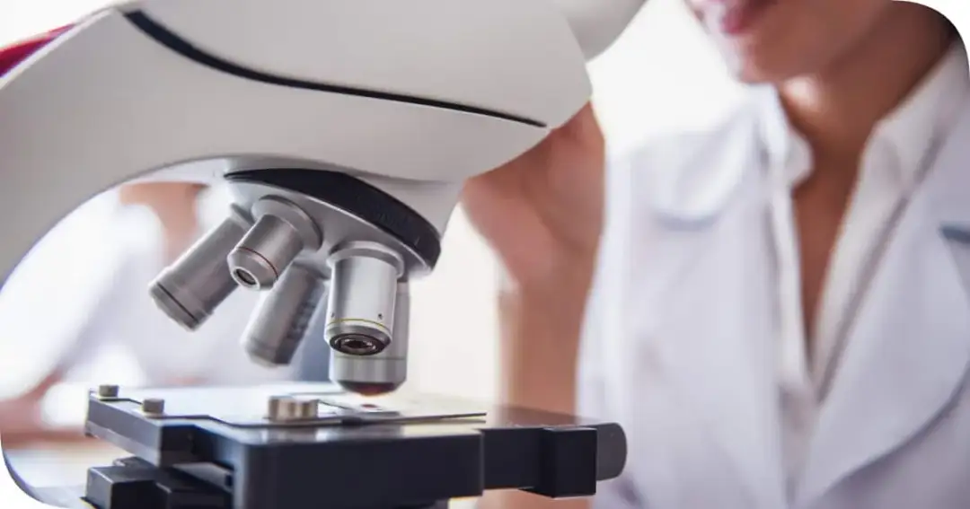 Badania histopatologiczne co to? Klucz do zrozumienia diagnozowania zmian chorobowych