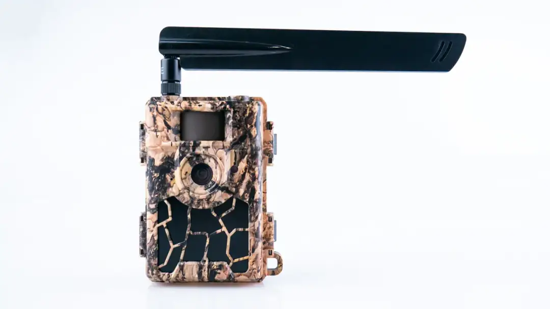 Najlepsze fotopułapki na działkę – co wybrać według forum?