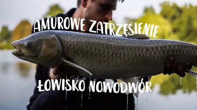 Łowisko Amur - idealne miejsce na wędkarskie przygody w Łódzkiem