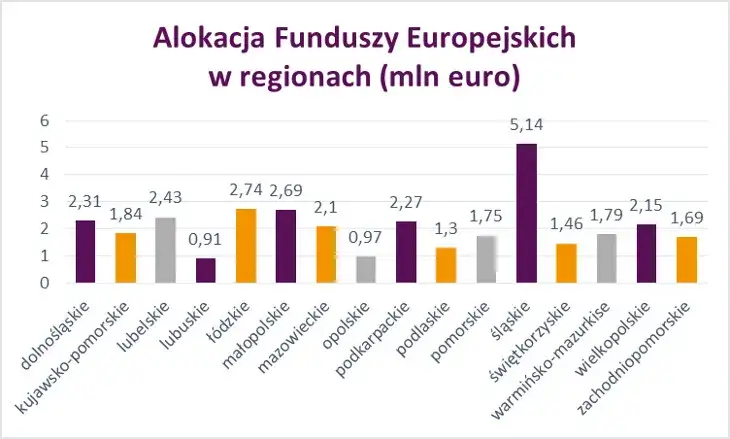 Regionalne programy dofinansowań: co to jest i jak zdobyć środki?