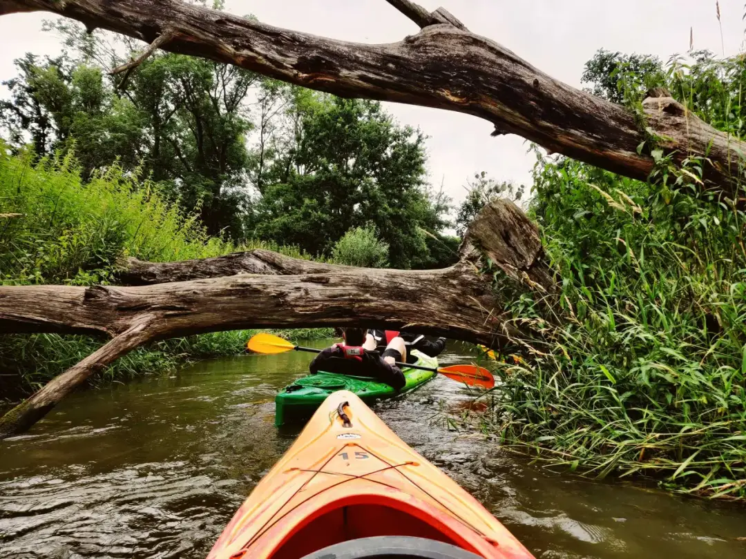 Spływ kajakowy Bystrzyca - najlepsze trasy, ceny i atrakcje Spływ kajakowy Bystrzyca - najlepsze trasy, ceny i atrakcje