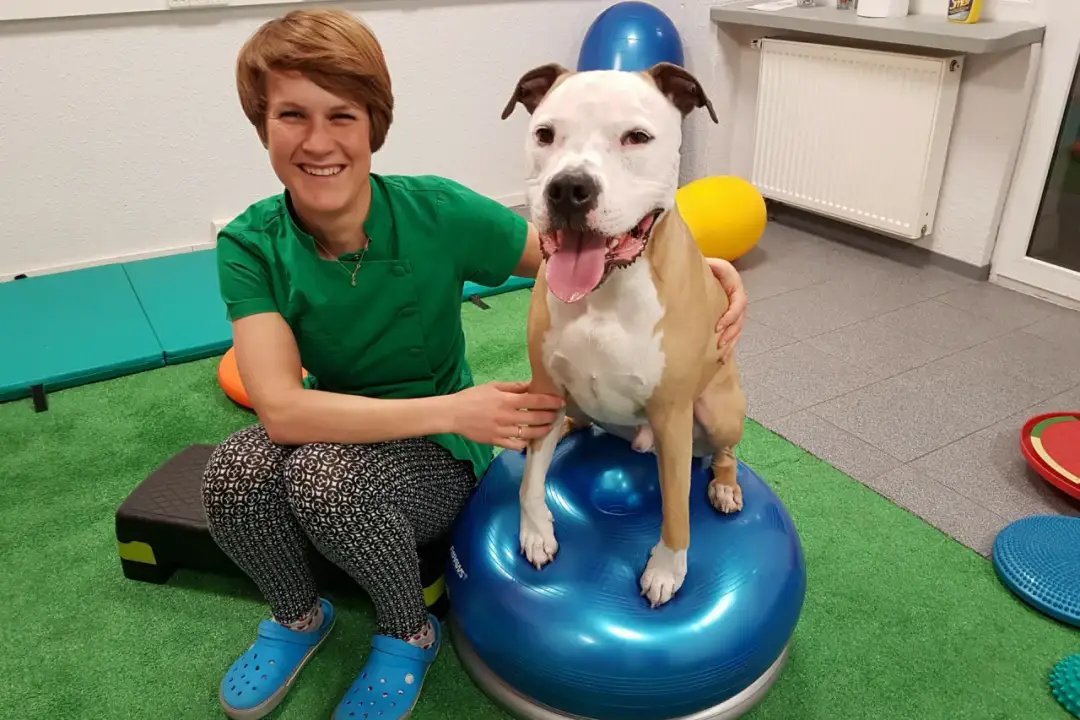 Ile zarabia fizjoterapeuta zwierząt? Zaskakujące fakty o wynagrodzeniach