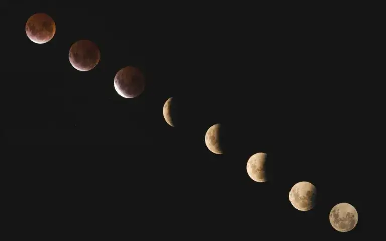 Odrobaczanie w jakiej fazie księżyca: najlepsze momenty na skuteczność