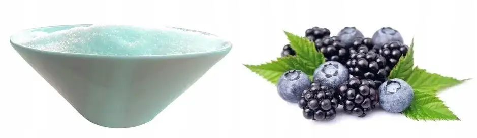 Gdzie kupić niebieską galaretkę? Sprawdź najlepsze opcje teraz