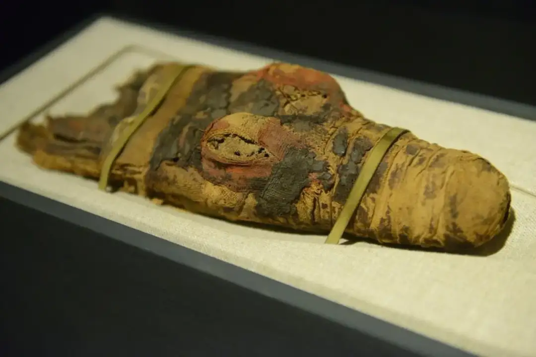 Muzeum sztuk użytkowych w Poznaniu: historia, zbiory i atrakcje