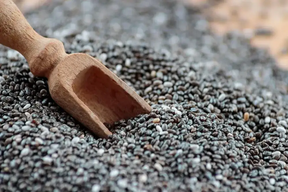 Nasiona chia: Korzyści, dawka dzienna i skutki uboczne. Sprawdź!