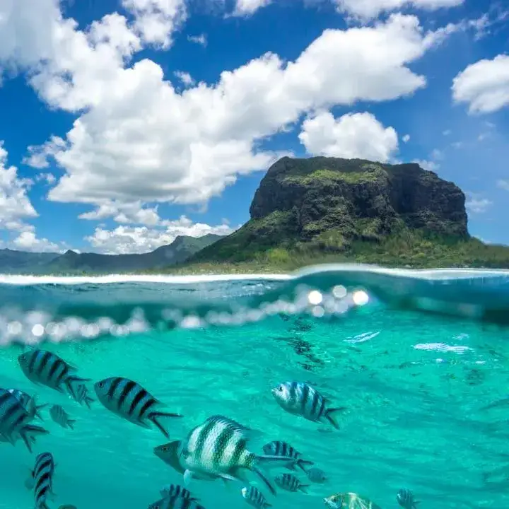 Najlepszy czas na podróż na Mauritius: uniknij deszczu i ciesz się idealną pogodą