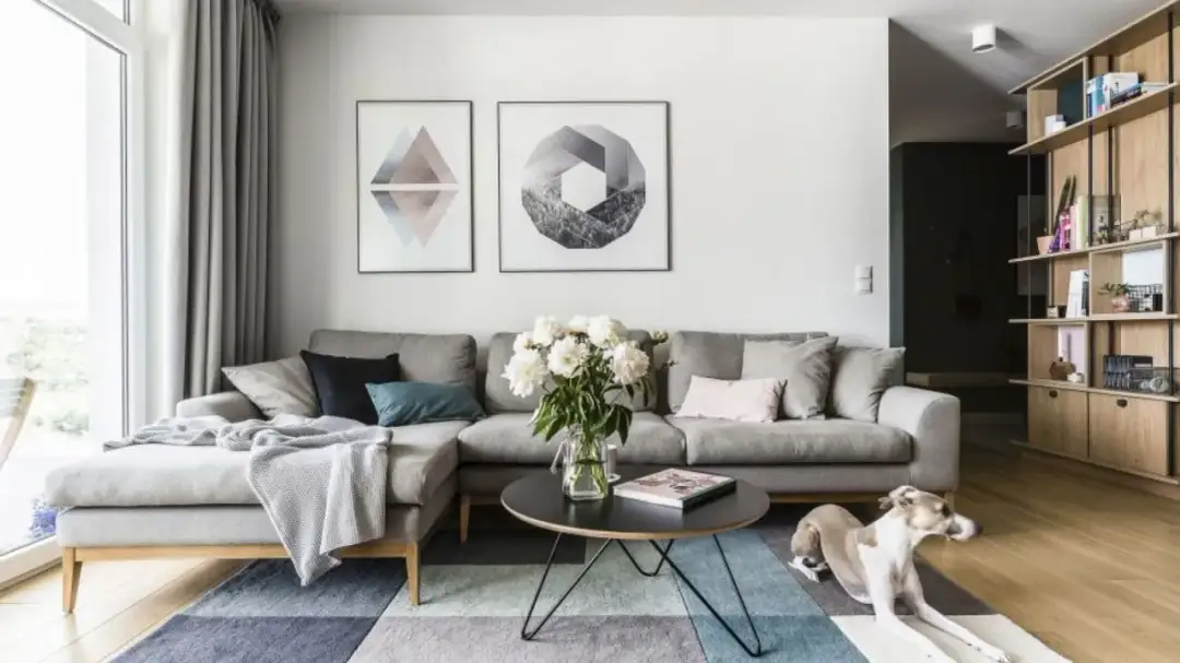 Jaki dywan do salonu – jak dokonać najlepszego wyboru do wnętrza?