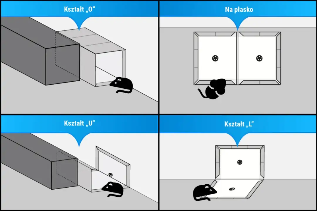 Jak Myszy Przedostają Się na Strych? Poznaj Skuteczne Sposoby Zapobiegania Inwazji Gryzoni