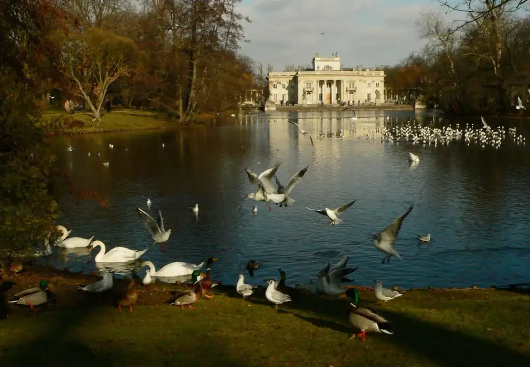 Pałac na wodzie w Łazienkach: Historia i tajemnice, które zaskakują