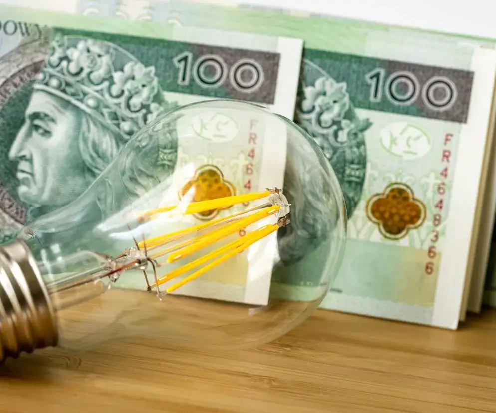 Jakie oświadczenie trzeba złożyć, żeby mieć tańszy prąd i zaoszczędzić?