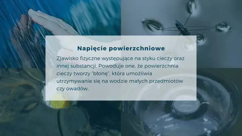Dlaczego woda jest fundamentem życia? Unikalne właściwości H₂O