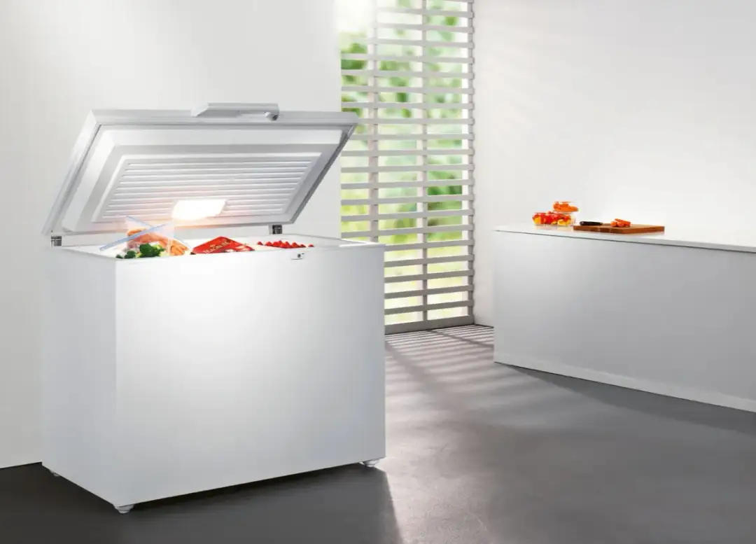 Zamrażarka w garażu: czy Twoja przetrwa polską zimę?