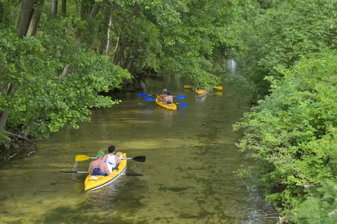 Spływ kajakowy Piława - najpiękniejsze trasy i ukryte niebezpieczeństwa