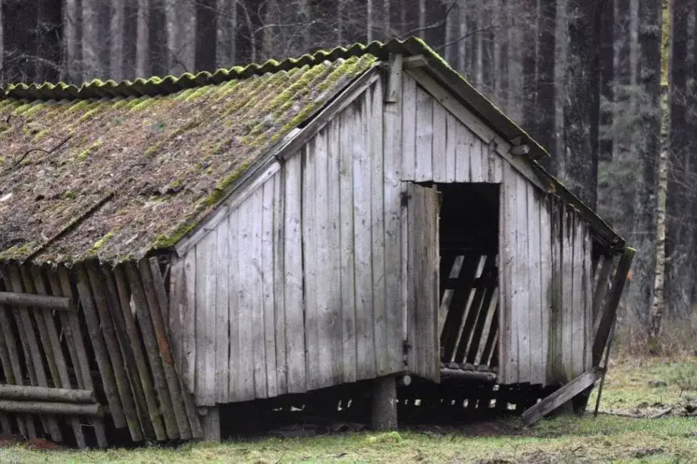 Jak zalegalizować budynek gospodarczy - uniknij kosztownych błędów