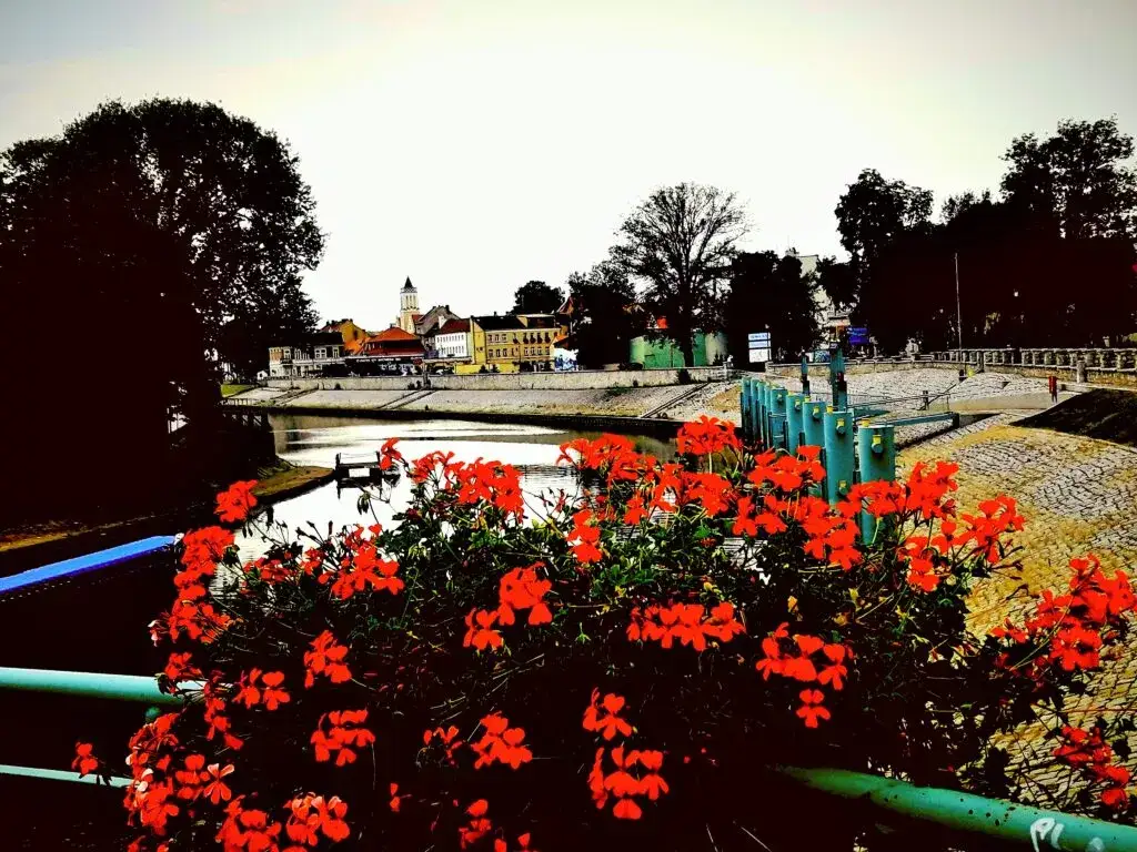 Atrakcje Nowa Sól - Odkryj nieznane miejsca i wyjątkowe doświadczenia