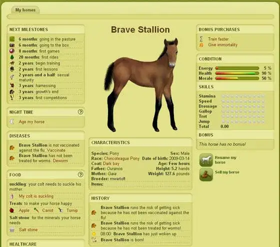 Kiedy powstało Howrse? Odkryj fascynującą historię tej gry