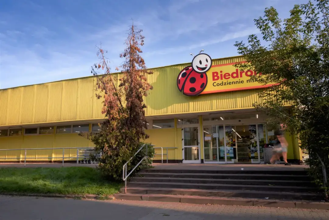 Biedronka skąd pochodzi? Zaskakująca historia i etymologia nazwy