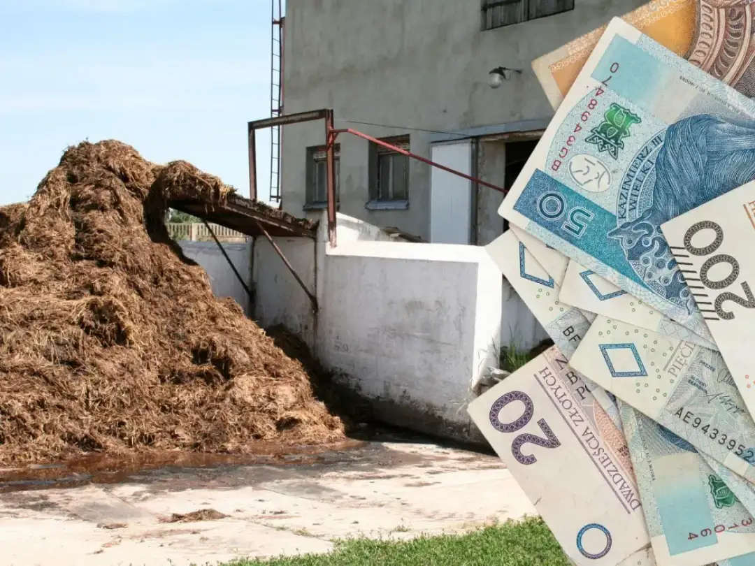 Robocizna zbrojenia 2026: cena za kg i jak ją obniżyć