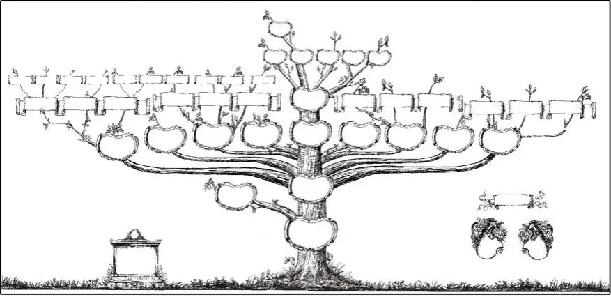 Dziedziczenie ustawowe - Przykłady i Ułamki