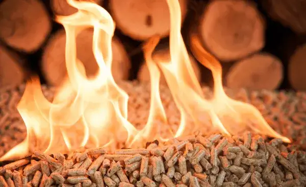 Gaz czy ekogroszek: co wybrać, aby zaoszczędzić na ogrzewaniu?