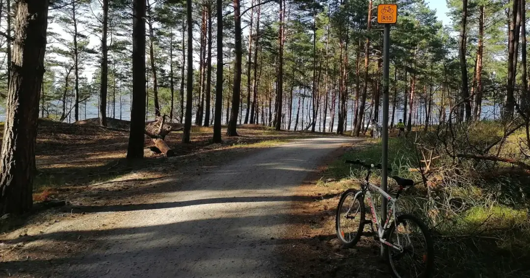 Najlepsze trasy rowerowe w Krynicy Morskiej - piękne widoki i atrakcje