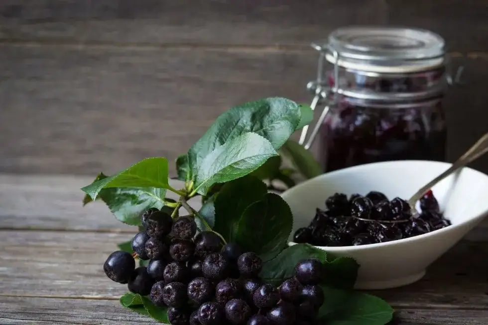 Co zrobić z aronią z nalewki? Przepisy na smaczne wykorzystanie owoców
