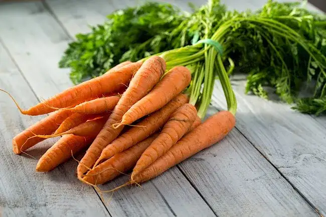Ile kalorii ma marchewka? Poznaj pełną wartość odżywczą w 100g i porcji