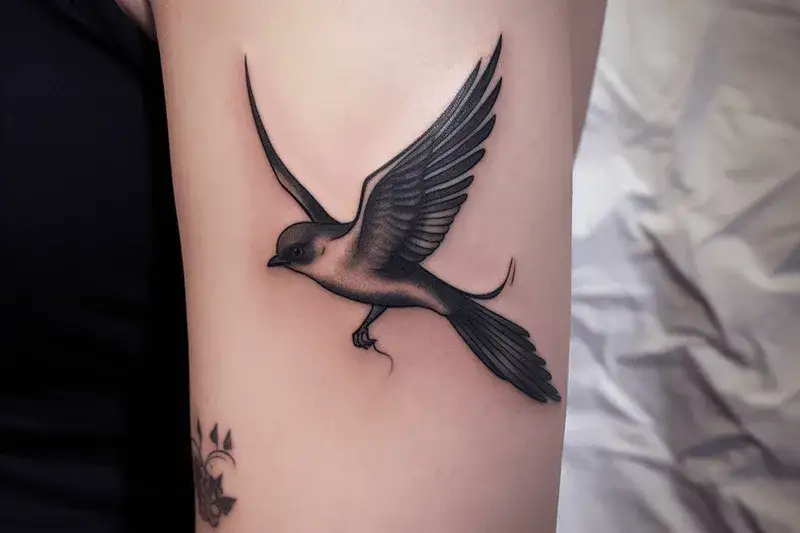 Co oznacza tatuaż jaskółka? Symbolika, historia i ukryte znaczenia motywu