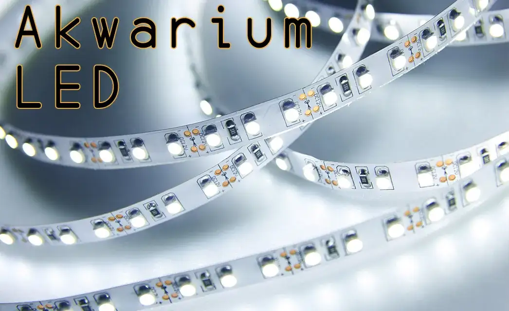 Jak zrobić oświetlenie LEDowe do akwarium - proste kroki i porady