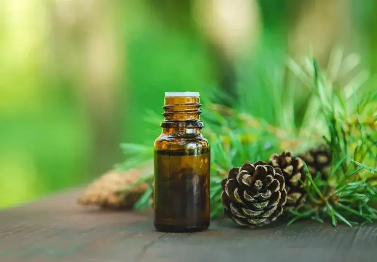 Jak stosować olejek pichtowy na zatoki, aby szybko ulżyć bólowi