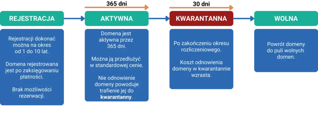 Do kiedy wygasa domena? Sprawdź datę i cykl życia + odzyskiwanie