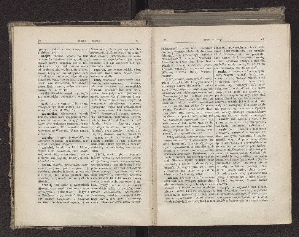 Słownik etymologiczny języka polskiego online - poznaj pochodzenie słów