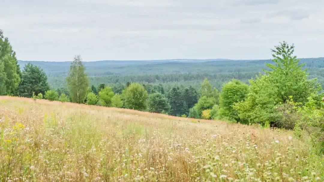 Czy Ty znasz te 7 fascynujących ciekawostek o Wyżynie Lubelskiej?